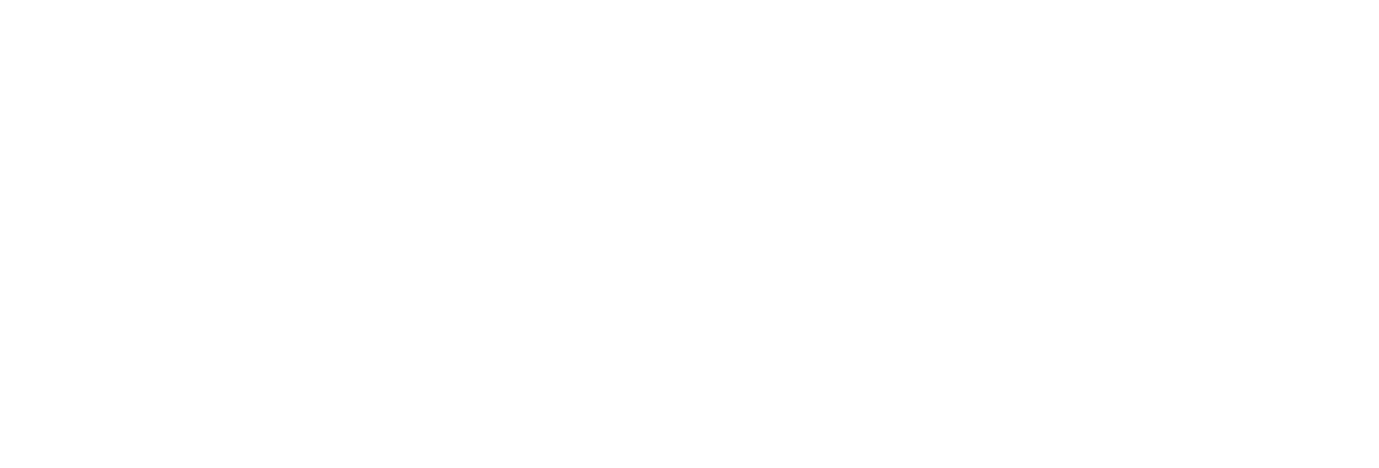 Noctua Security
